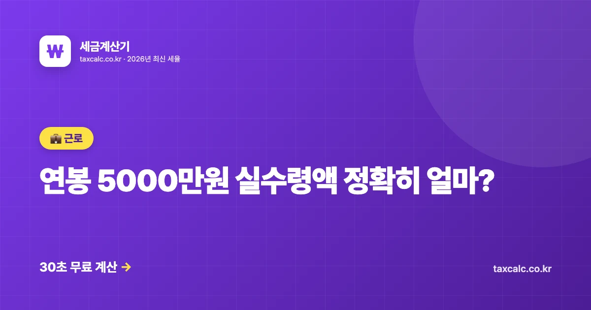 연봉 5000만원 실수령액 시뮬레이션